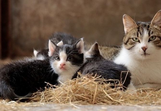 Unbenannt.jpg Unbenannt.jpg